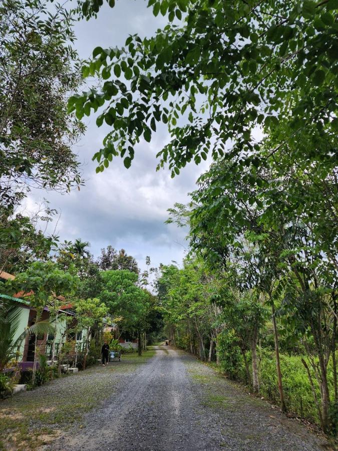 Suankafae Resort สวนกาแฟรีสอร์ท Surat Thani Exteriör bild