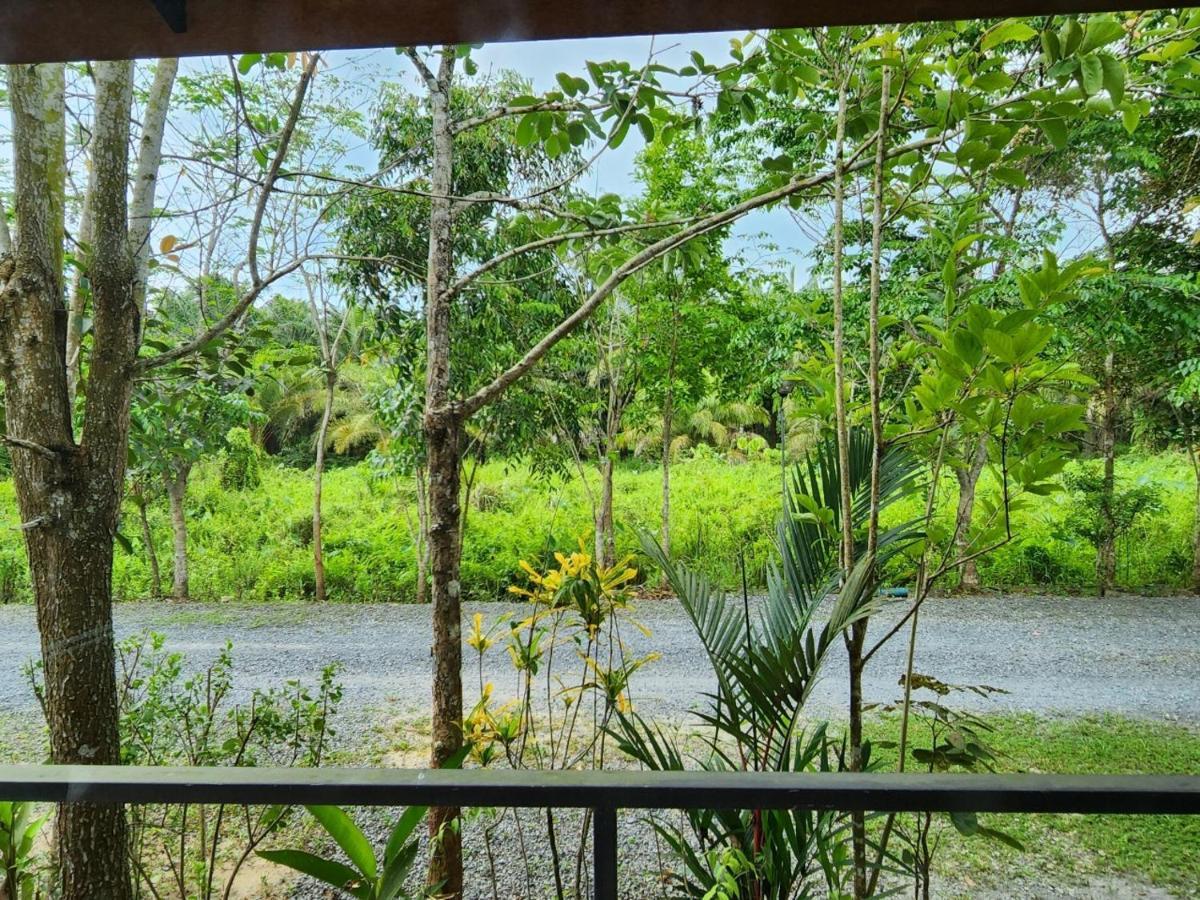 Suankafae Resort สวนกาแฟรีสอร์ท Surat Thani Exteriör bild