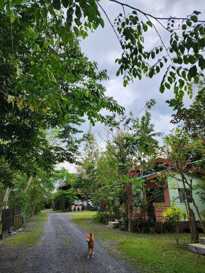 Suankafae Resort สวนกาแฟรีสอร์ท Surat Thani Exteriör bild
