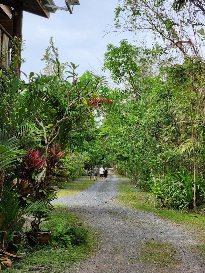 Suankafae Resort สวนกาแฟรีสอร์ท Surat Thani Exteriör bild