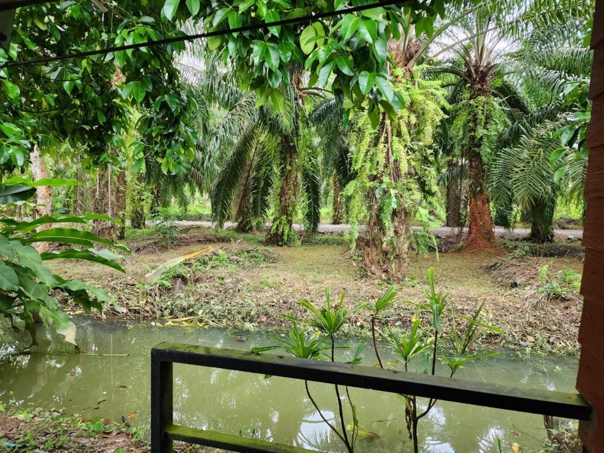 Suankafae Resort สวนกาแฟรีสอร์ท Surat Thani Exteriör bild